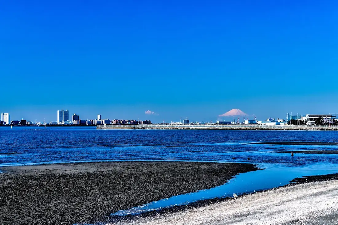 三番瀬から富士山